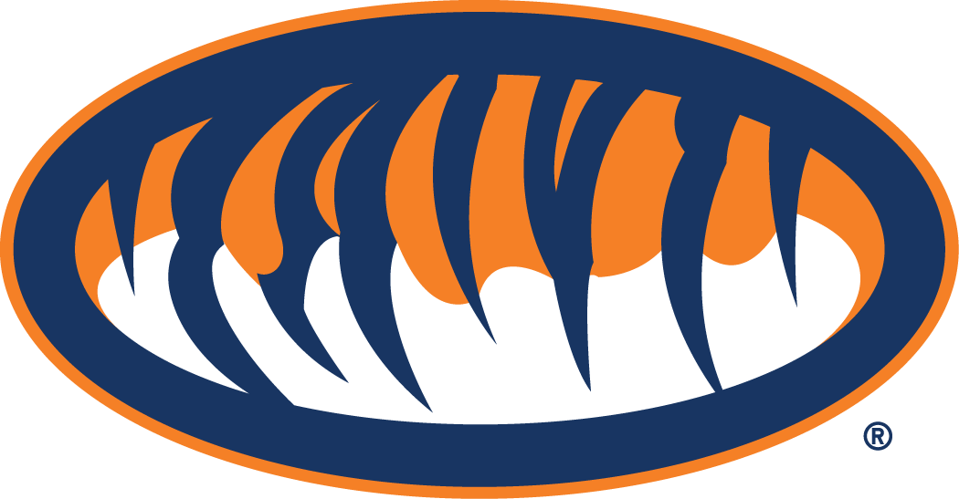 Auburn Tigers 1998-Pres Alternate Logo t shirts iron on transfers v2